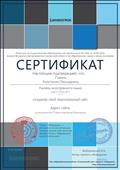 сертификат о создании своего персонального сайта на проекте ИНФОУРОК, от 29.09.2016 сертификат о создании своего персонального сайта на проекте ИНФОУРОК, от 29.09.2016